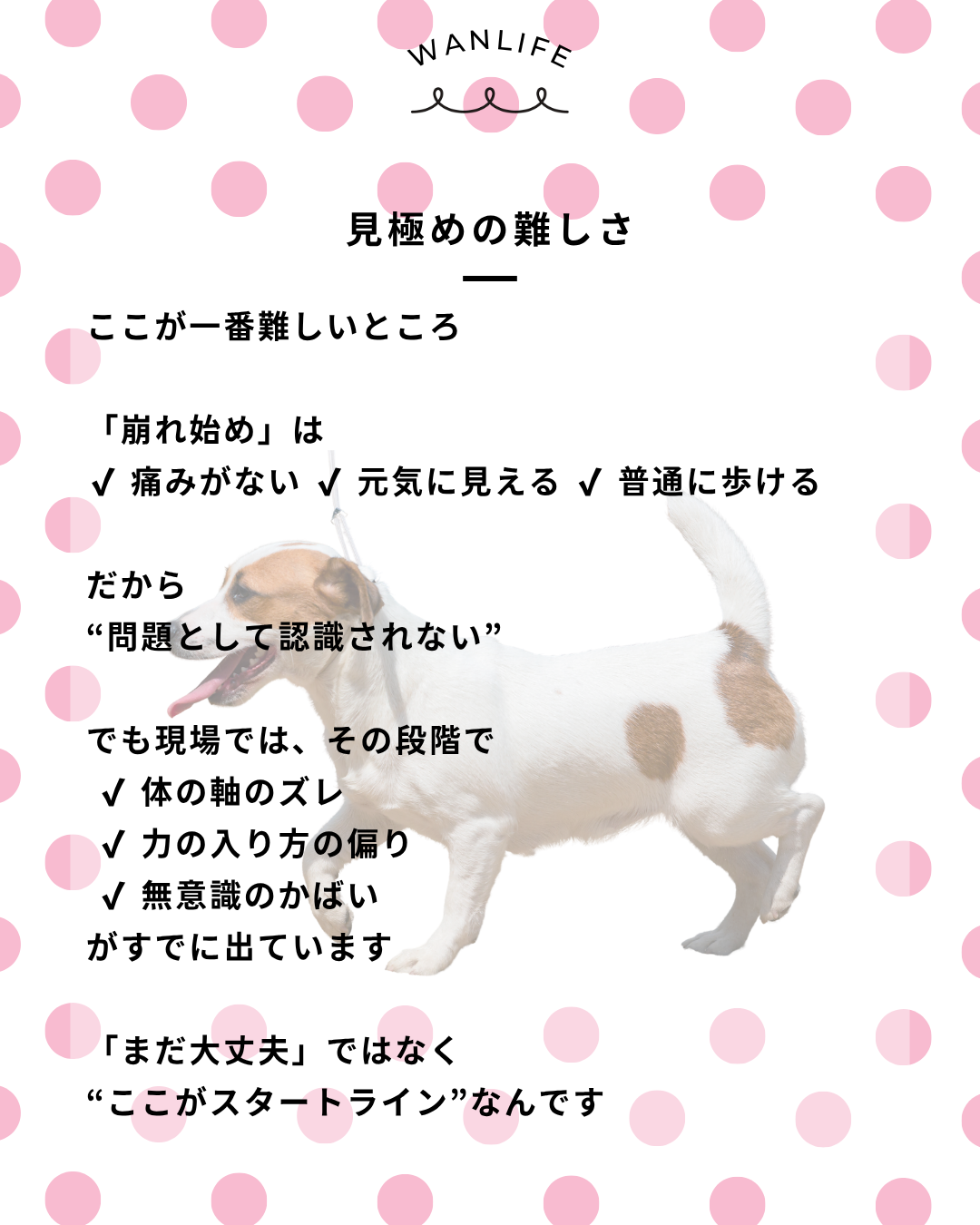 わんわん整体WanLife｜愛知・岐阜の犬の整体・メディセル筋膜リリース・オベロンアニマルスキャン・歩けるくん・ネオヒーラー・温灸・食事療法｜