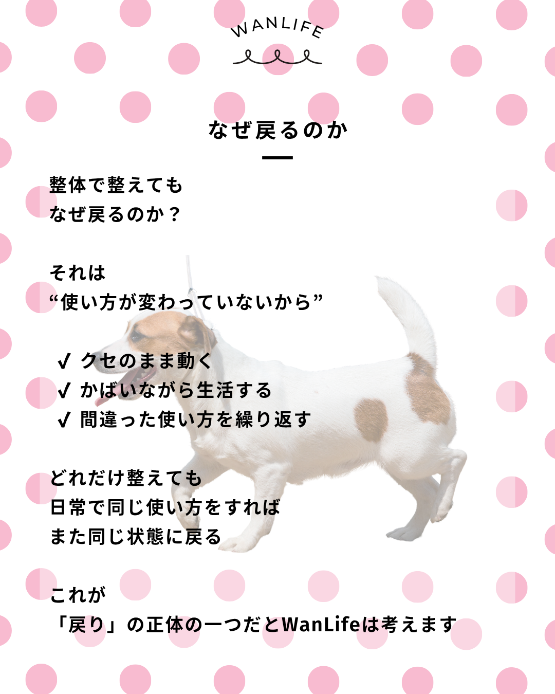 わんわん整体WanLife｜愛知・岐阜の犬の整体・メディセル筋膜リリース・オベロンアニマルスキャン・歩けるくん・ネオヒーラー・温灸・食事療法｜