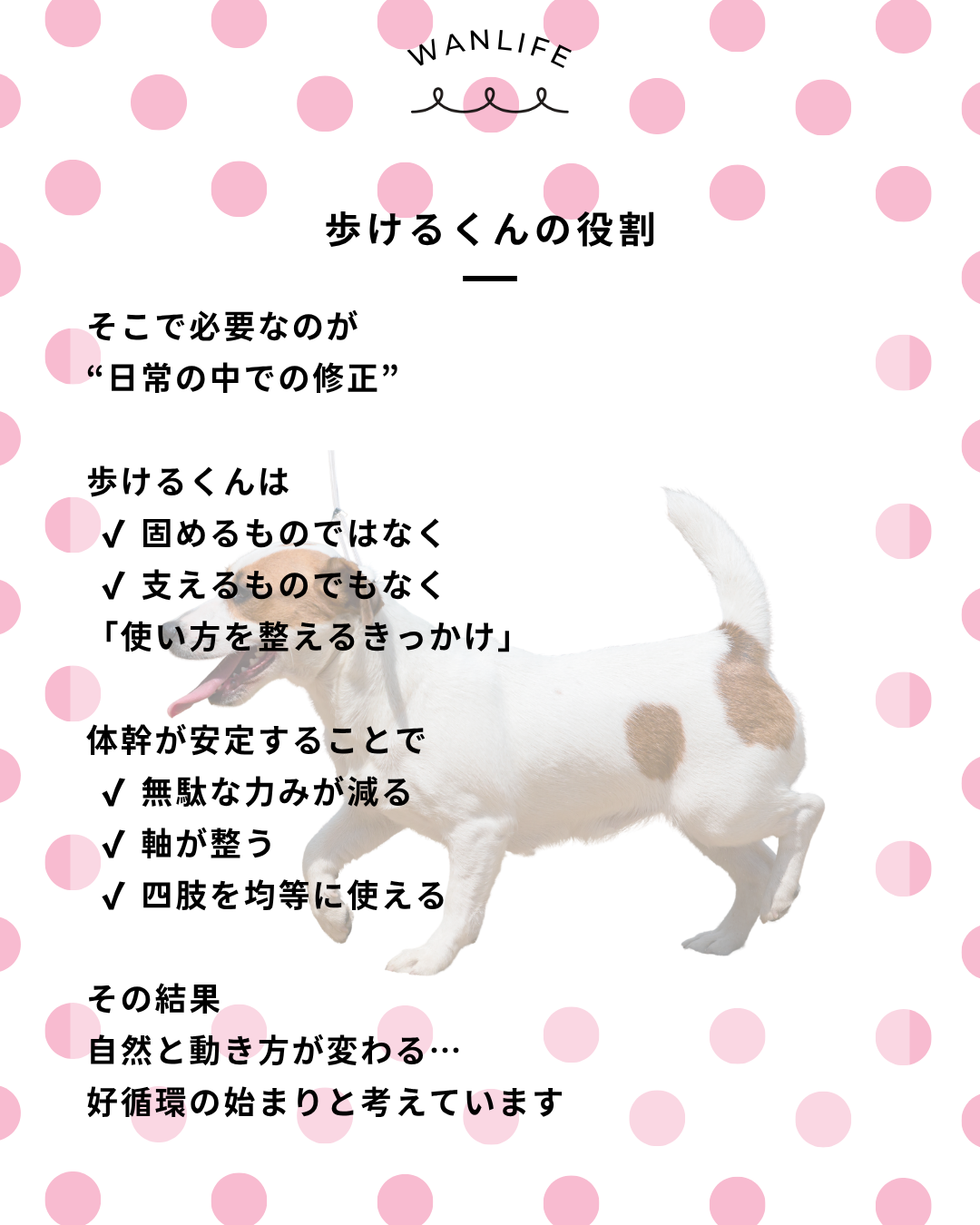 わんわん整体WanLife｜愛知・岐阜の犬の整体・メディセル筋膜リリース・オベロンアニマルスキャン・歩けるくん・ネオヒーラー・温灸・食事療法｜