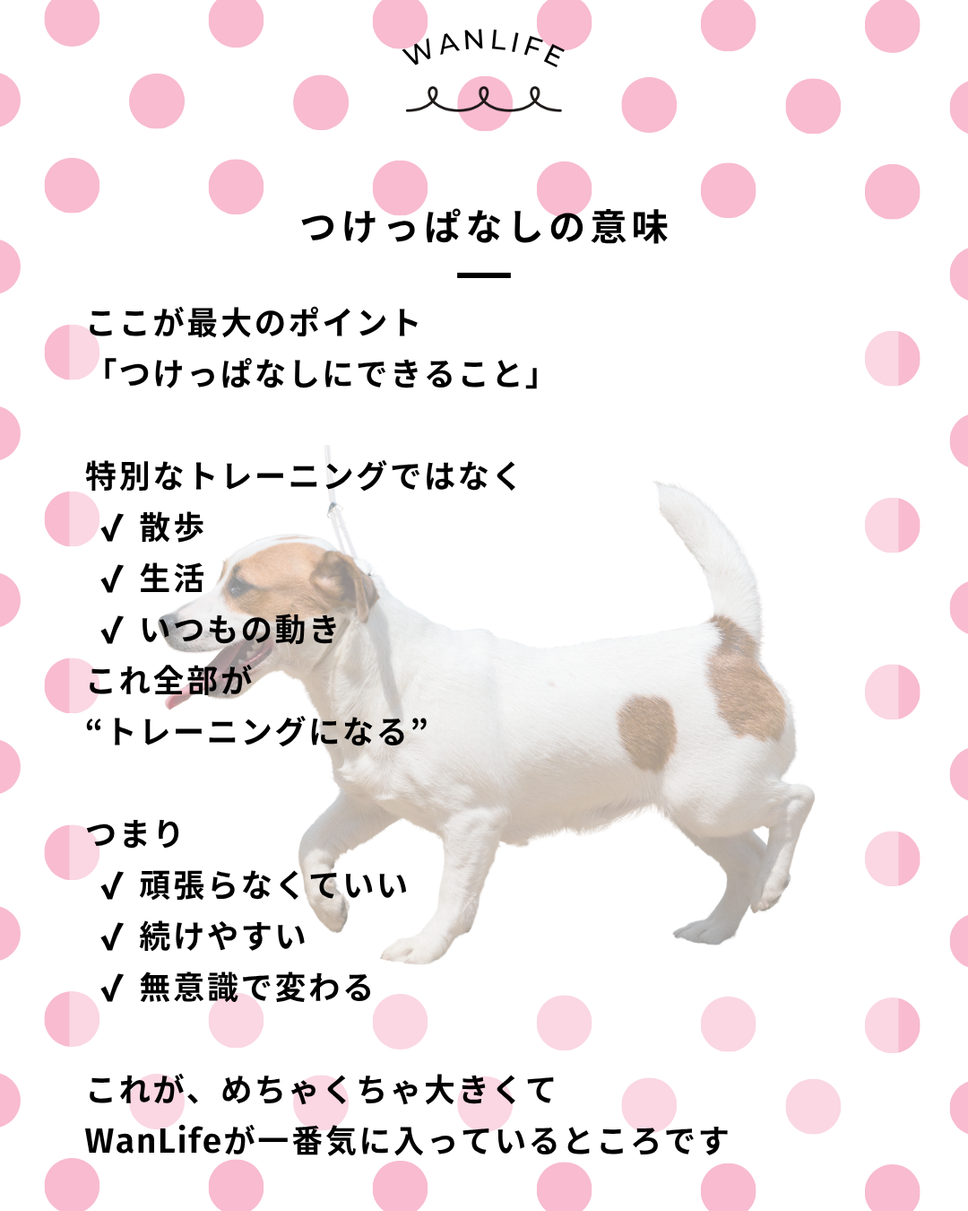 わんわん整体WanLife｜愛知・岐阜の犬の整体・メディセル筋膜リリース・オベロンアニマルスキャン・歩けるくん・ネオヒーラー・温灸・食事療法｜