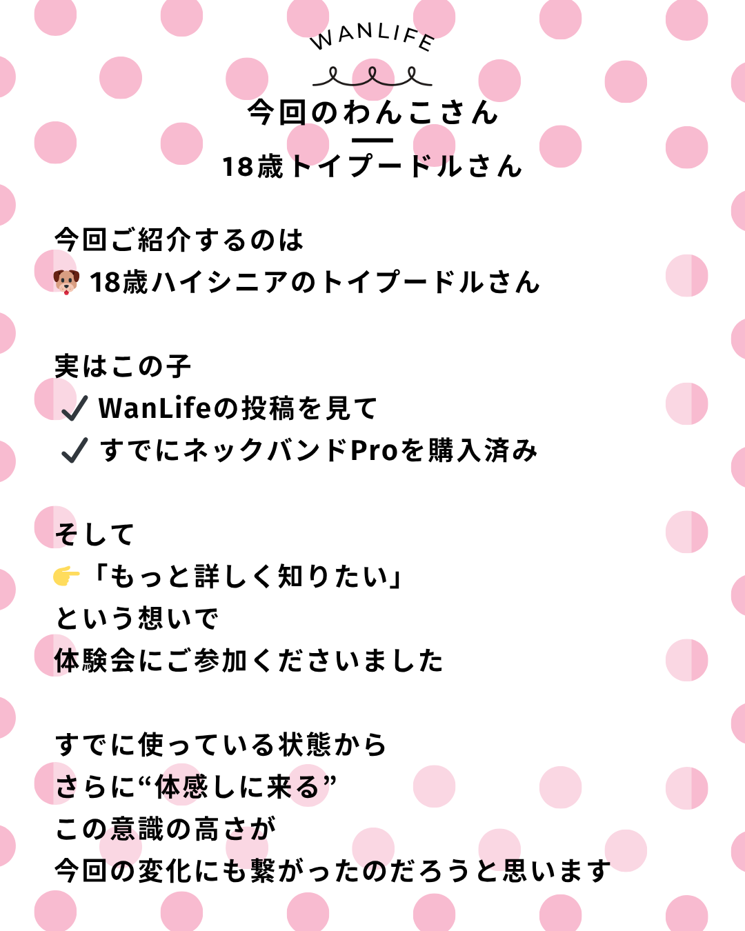 わんわん整体WanLife|愛知・岐阜の犬の整体・メディセル筋膜リリース・オベロンアニマルスキャン・歩けるくん・ネオヒーラー・温灸・食事療法|