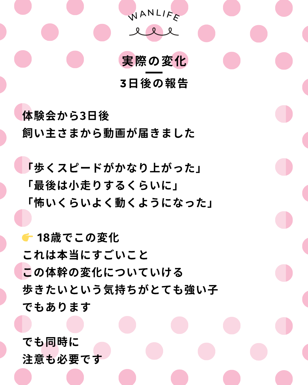 わんわん整体WanLife|愛知・岐阜の犬の整体・メディセル筋膜リリース・オベロンアニマルスキャン・歩けるくん・ネオヒーラー・温灸・食事療法|