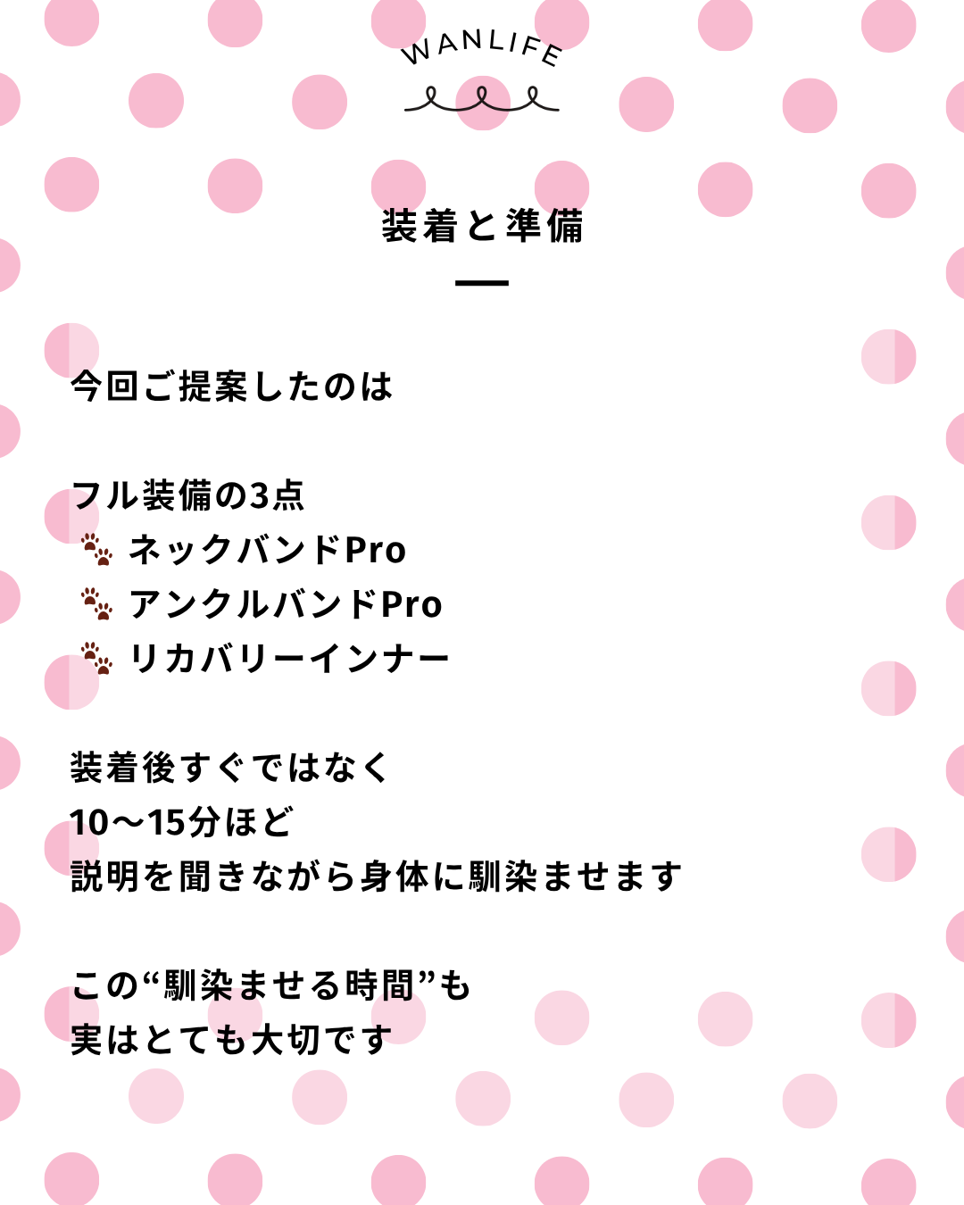 わんわん整体WanLife｜愛知・岐阜の犬の整体・メディセル筋膜リリース・オベロンアニマルスキャン・歩けるくん・ネオヒーラー・温灸・食事療法｜