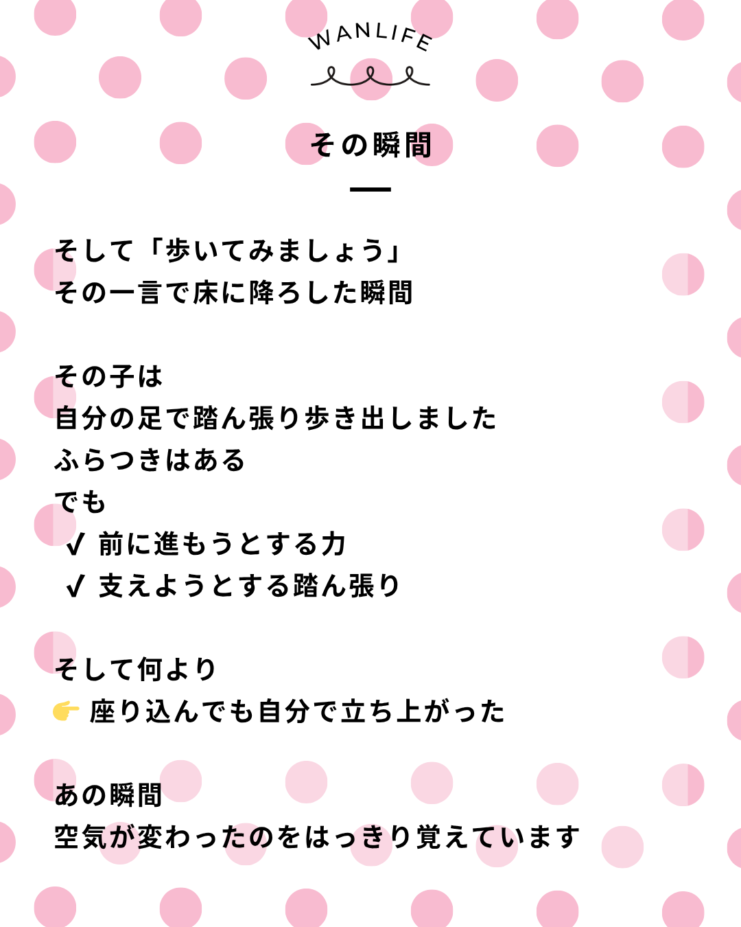 わんわん整体WanLife｜愛知・岐阜の犬の整体・メディセル筋膜リリース・オベロンアニマルスキャン・歩けるくん・ネオヒーラー・温灸・食事療法｜