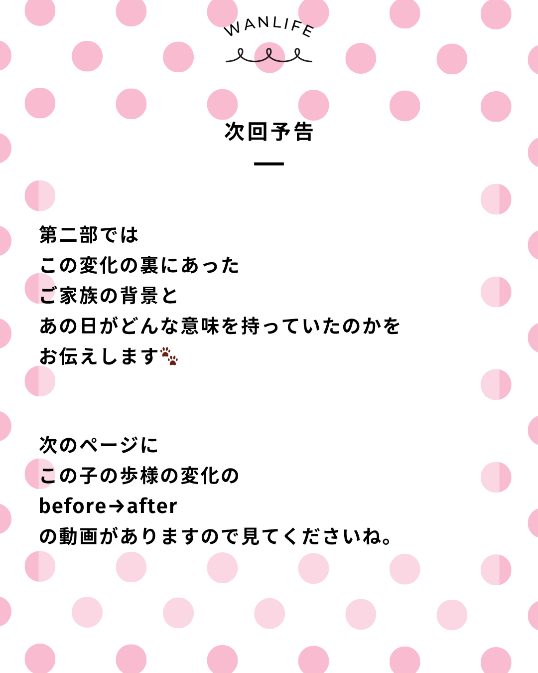 わんわん整体WanLife｜愛知・岐阜の犬の整体・メディセル筋膜リリース・オベロンアニマルスキャン・歩けるくん・ネオヒーラー・温灸・食事療法｜