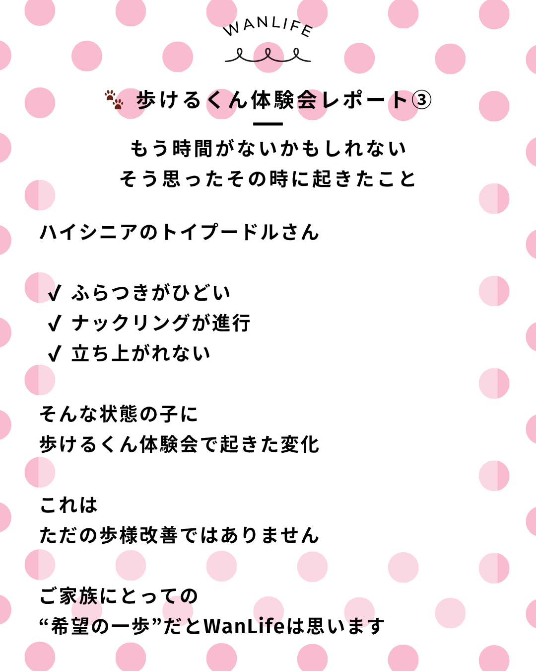 わんわん整体WanLife｜愛知・岐阜の犬の整体・メディセル筋膜リリース・オベロンアニマルスキャン・歩けるくん・ネオヒーラー・温灸・食事療法｜