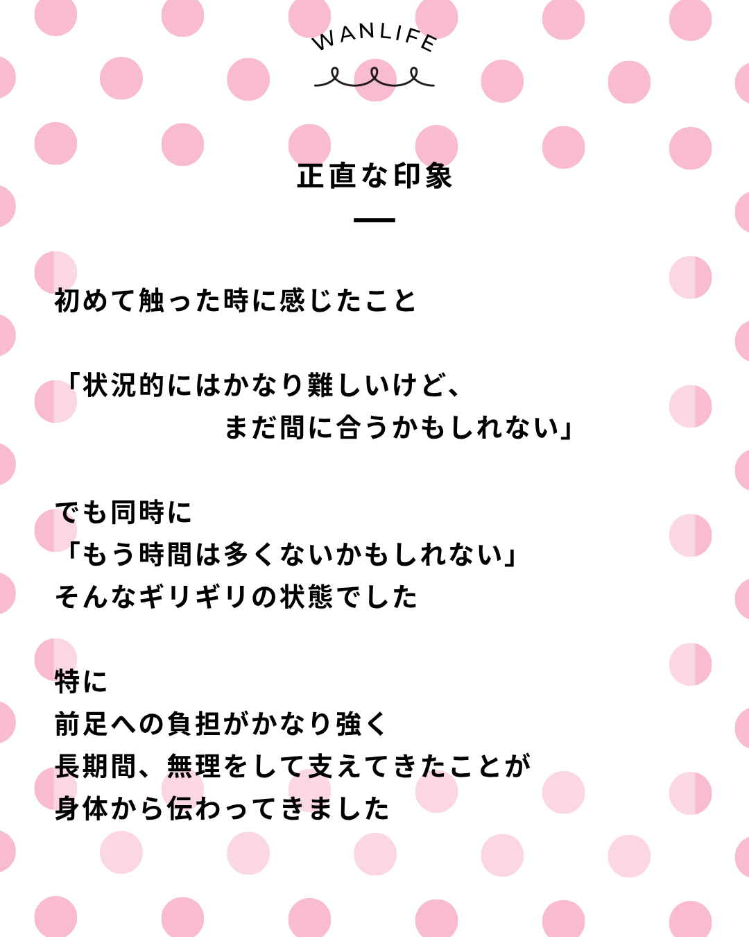 わんわん整体WanLife｜愛知・岐阜の犬の整体・メディセル筋膜リリース・オベロンアニマルスキャン・歩けるくん・ネオヒーラー・温灸・食事療法｜