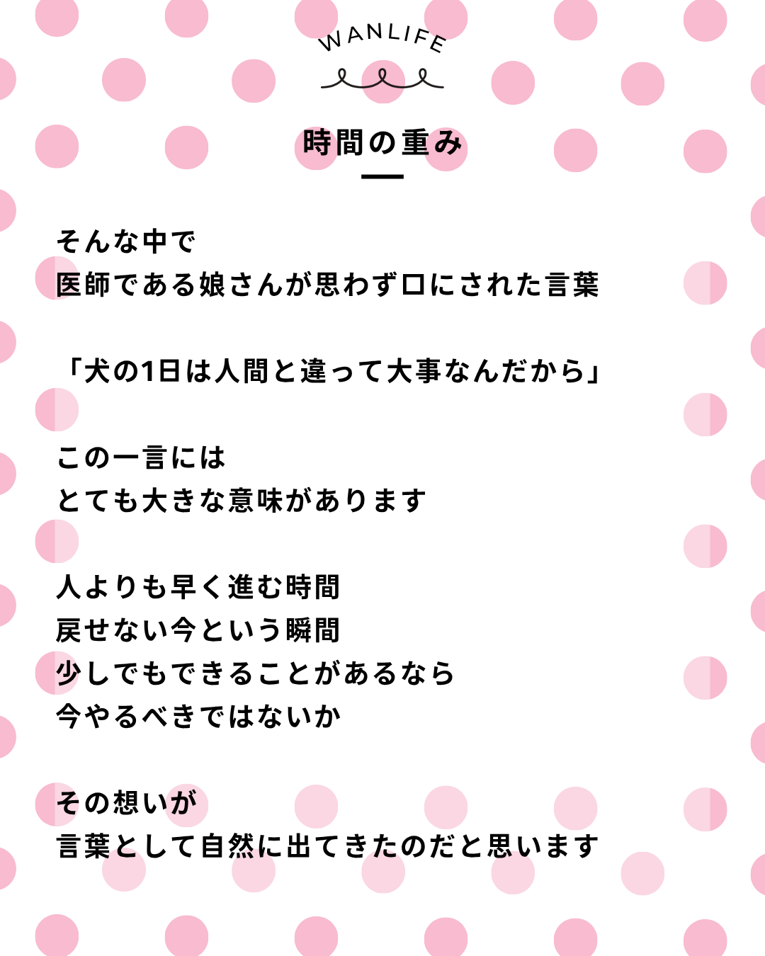 わんわん整体WanLife｜愛知・岐阜の犬の整体・メディセル筋膜リリース・オベロンアニマルスキャン・歩けるくん・ネオヒーラー・温灸・食事療法｜