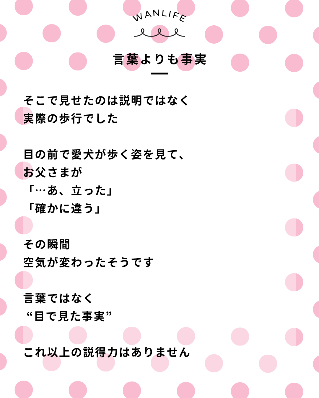 わんわん整体WanLife｜愛知・岐阜の犬の整体・メディセル筋膜リリース・オベロンアニマルスキャン・歩けるくん・ネオヒーラー・温灸・食事療法｜