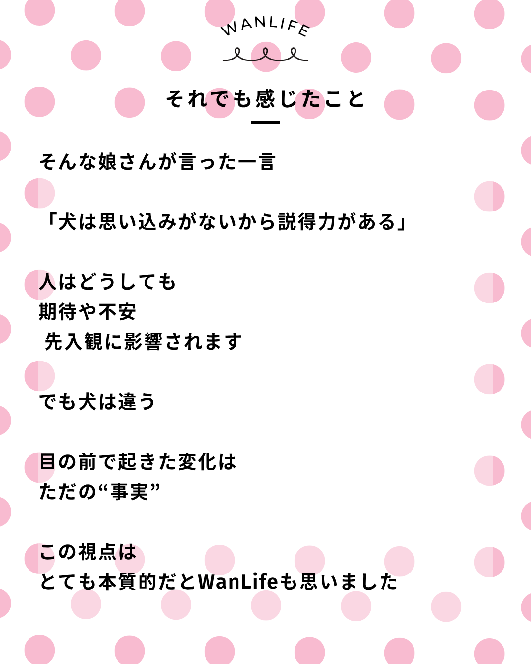 わんわん整体WanLife｜愛知・岐阜の犬の整体・メディセル筋膜リリース・オベロンアニマルスキャン・歩けるくん・ネオヒーラー・温灸・食事療法｜