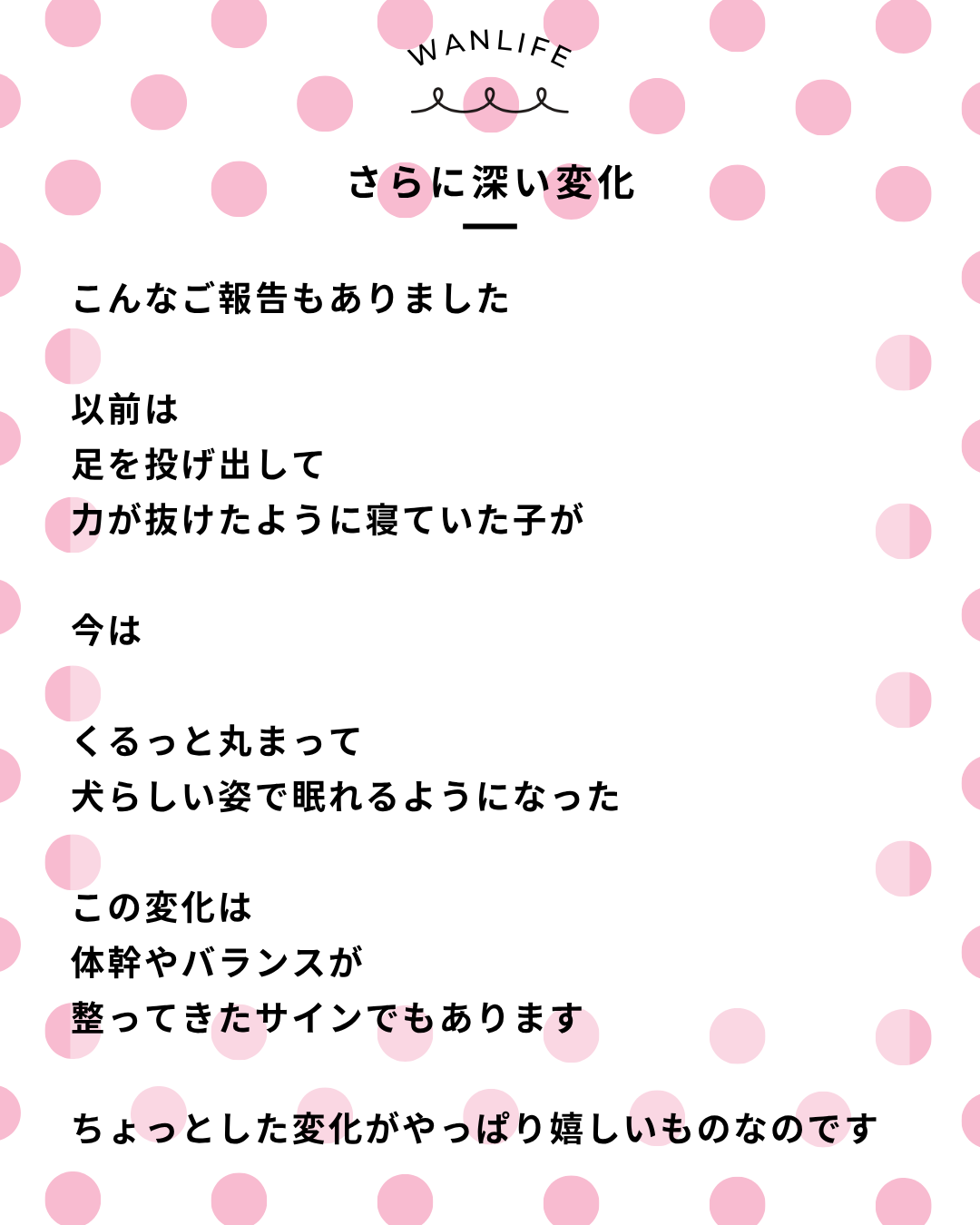 わんわん整体WanLife｜愛知・岐阜の犬の整体・メディセル筋膜リリース・オベロンアニマルスキャン・歩けるくん・ネオヒーラー・温灸・食事療法｜