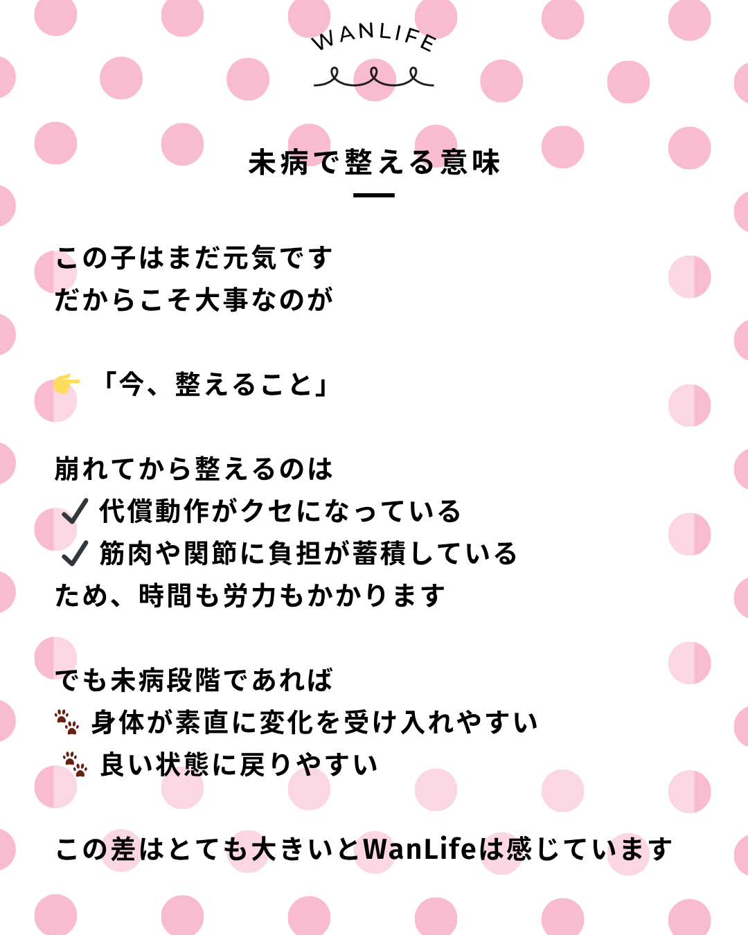 わんわん整体WanLife｜愛知・岐阜の犬の整体・メディセル筋膜リリース・オベロンアニマルスキャン・歩けるくん・ネオヒーラー・温灸・食事療法｜