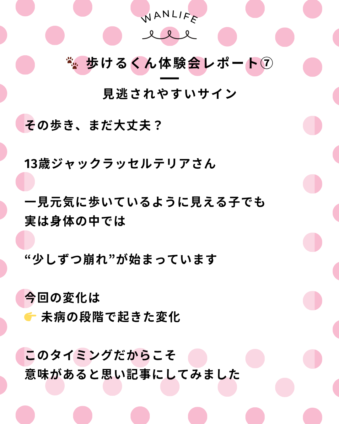 わんわん整体WanLife｜愛知・岐阜の犬の整体・メディセル筋膜リリース・オベロンアニマルスキャン・歩けるくん・ネオヒーラー・温灸・食事療法｜