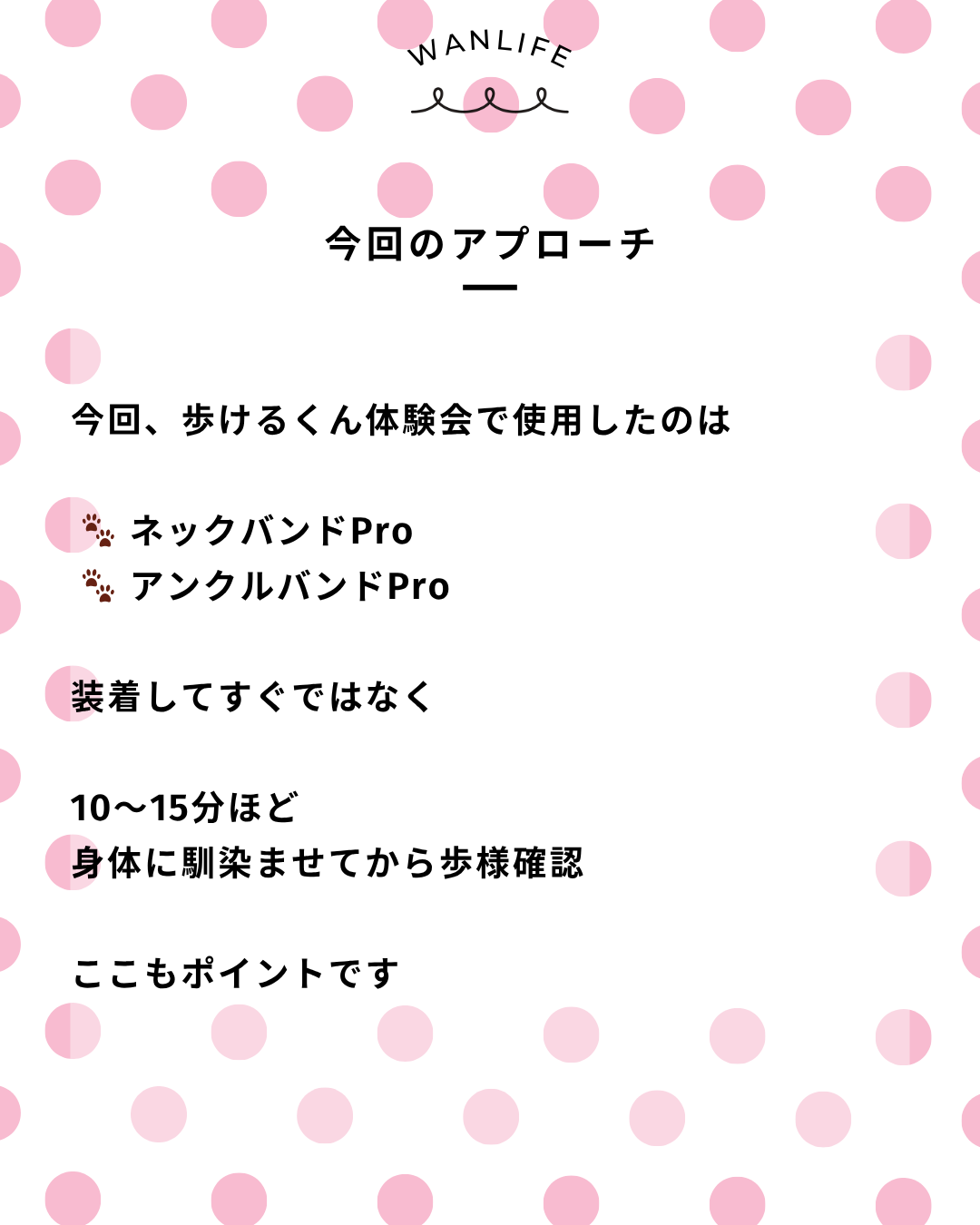 わんわん整体WanLife｜愛知・岐阜の犬の整体・メディセル筋膜リリース・オベロンアニマルスキャン・歩けるくん・ネオヒーラー・温灸・食事療法｜