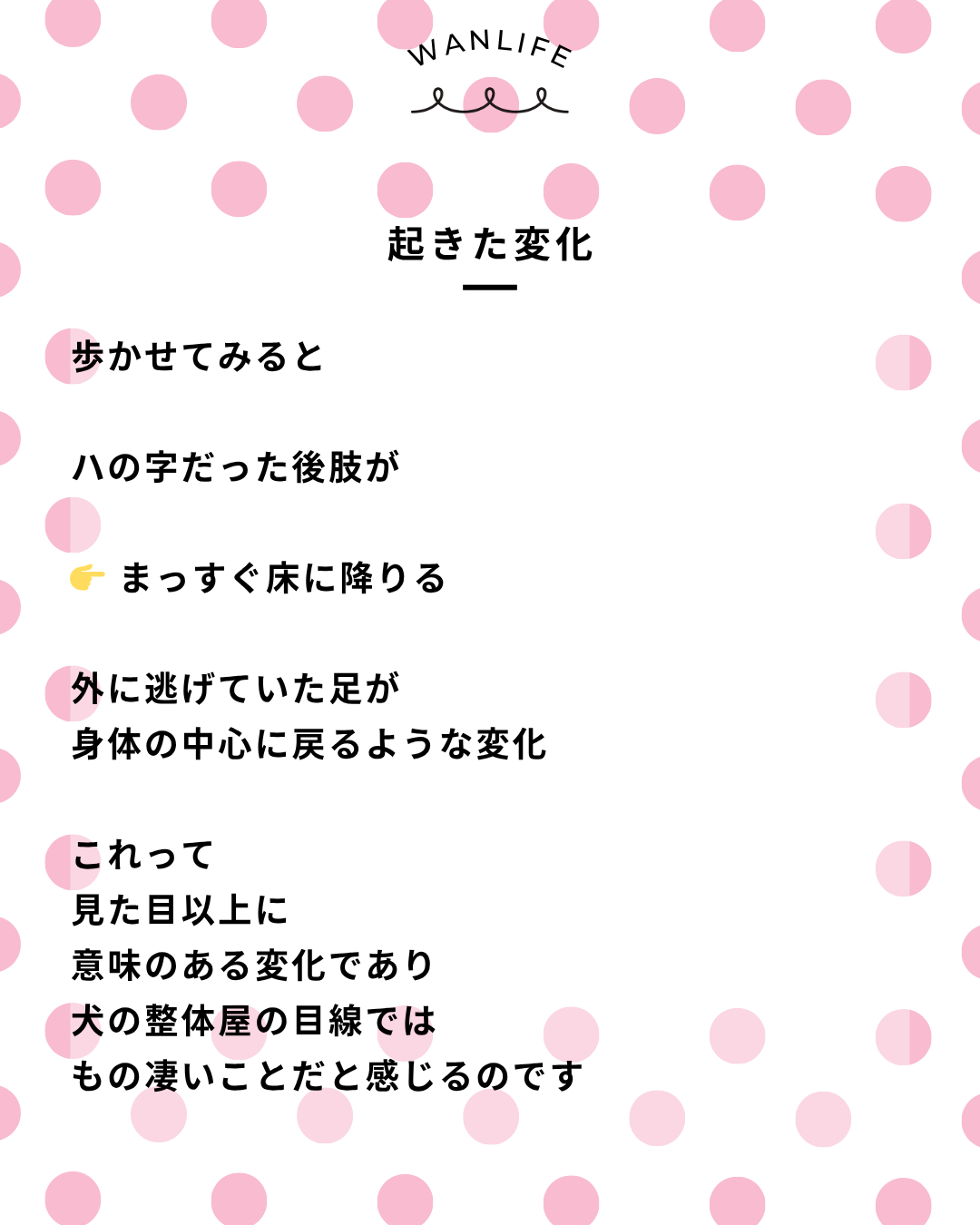 わんわん整体WanLife｜愛知・岐阜の犬の整体・メディセル筋膜リリース・オベロンアニマルスキャン・歩けるくん・ネオヒーラー・温灸・食事療法｜