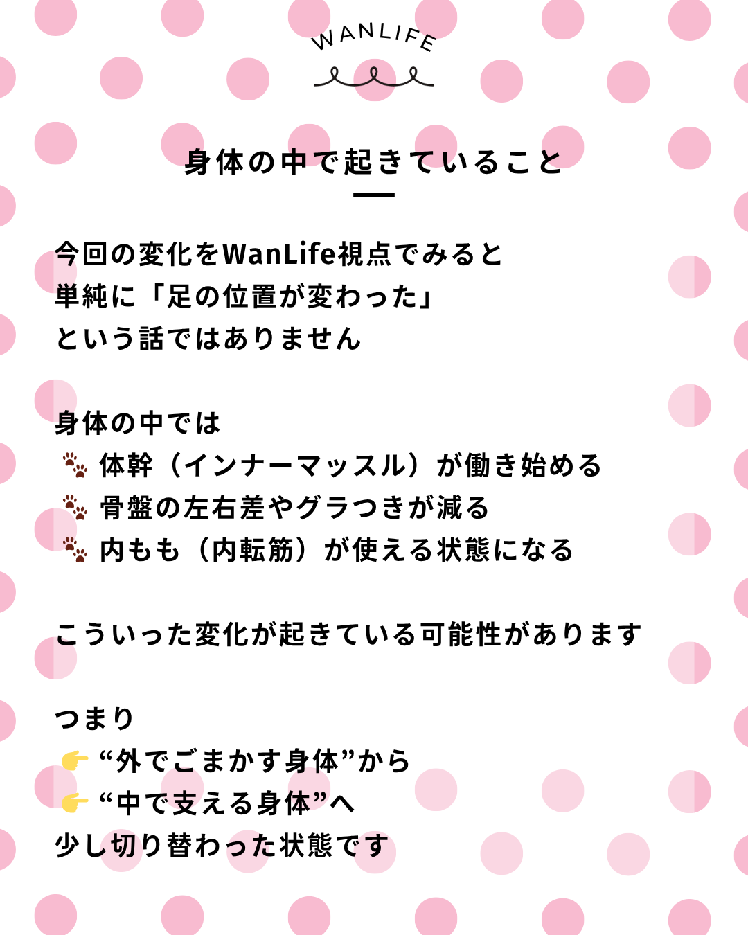 わんわん整体WanLife｜愛知・岐阜の犬の整体・メディセル筋膜リリース・オベロンアニマルスキャン・歩けるくん・ネオヒーラー・温灸・食事療法｜
