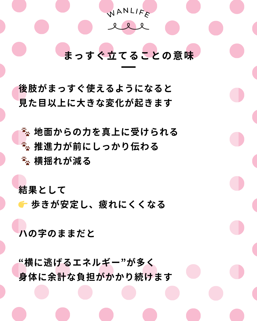 わんわん整体WanLife｜愛知・岐阜の犬の整体・メディセル筋膜リリース・オベロンアニマルスキャン・歩けるくん・ネオヒーラー・温灸・食事療法｜