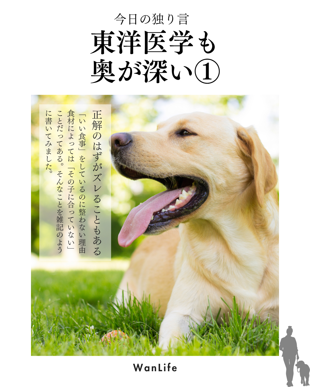 わんわん整体WanLife｜愛知・岐阜の犬の整体・メディセル筋膜リリース・オベロンアニマルスキャン・ネオヒーラー・温灸・食事療法｜