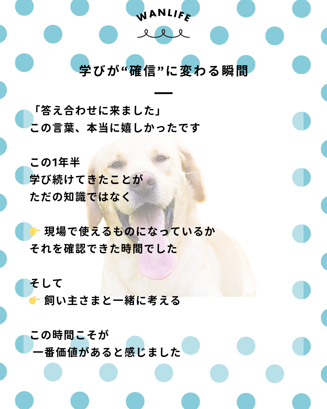 わんわん整体WanLife｜愛知・岐阜の犬の整体・メディセル筋膜リリース・オベロンアニマルスキャン・ネオヒーラー・温灸・食事療法｜