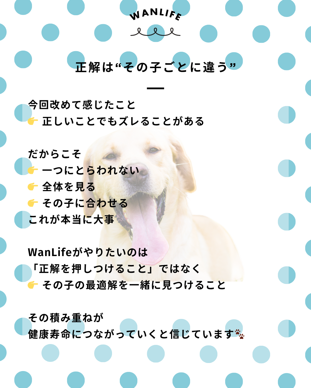 わんわん整体WanLife｜愛知・岐阜の犬の整体・メディセル筋膜リリース・オベロンアニマルスキャン・ネオヒーラー・温灸・食事療法｜
