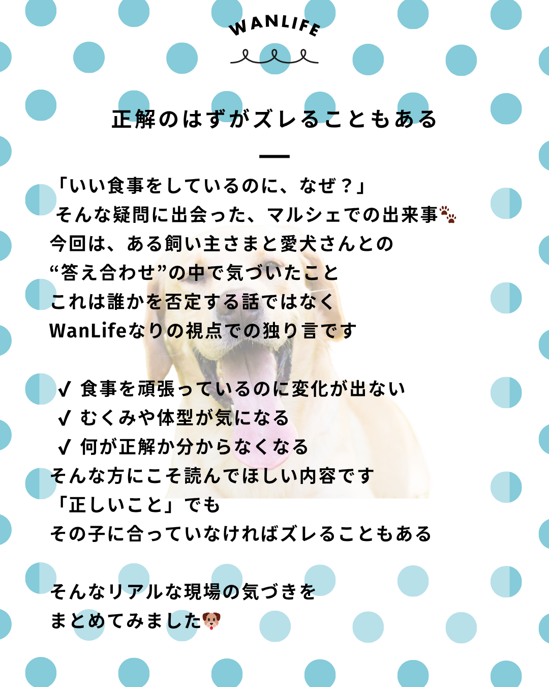 わんわん整体WanLife｜愛知・岐阜の犬の整体・メディセル筋膜リリース・オベロンアニマルスキャン・ネオヒーラー・温灸・食事療法｜