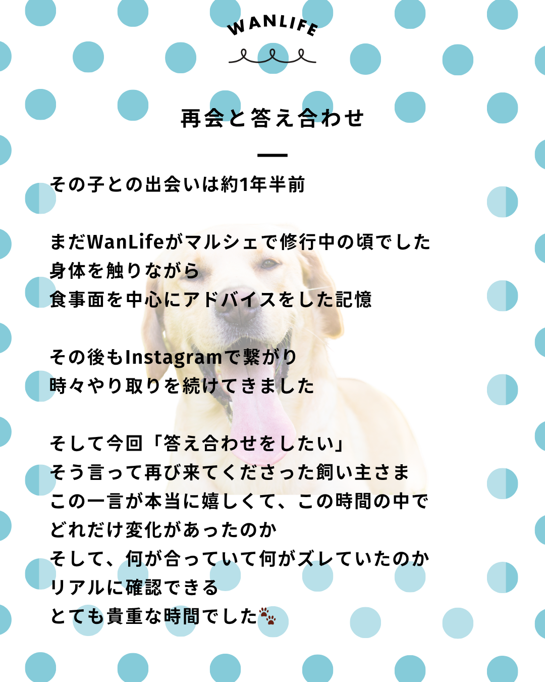 わんわん整体WanLife｜愛知・岐阜の犬の整体・メディセル筋膜リリース・オベロンアニマルスキャン・ネオヒーラー・温灸・食事療法｜