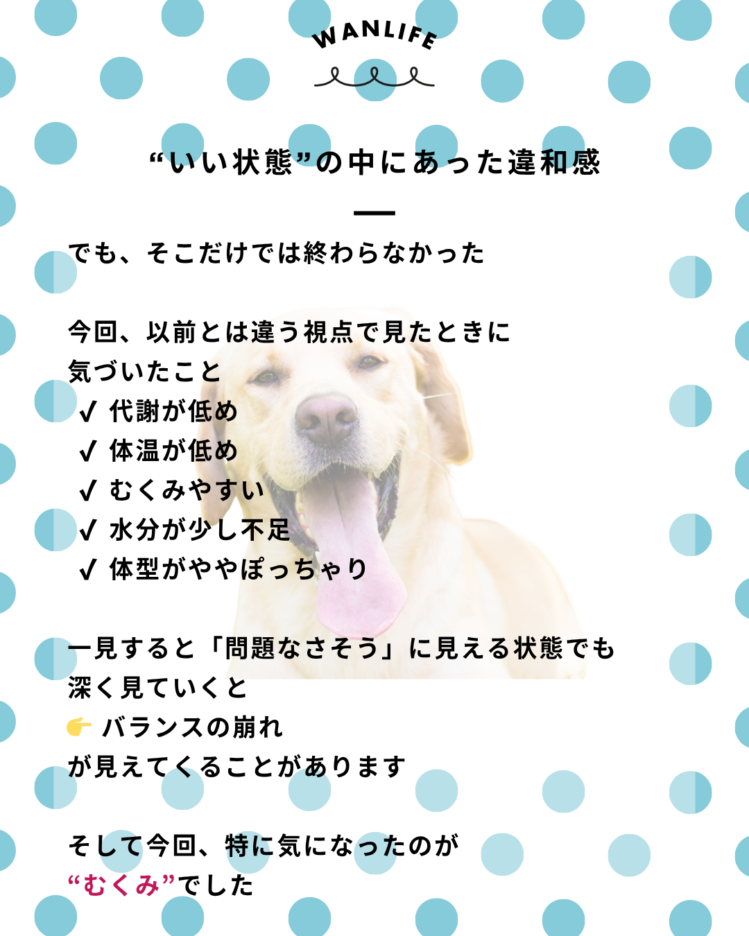 わんわん整体WanLife｜愛知・岐阜の犬の整体・メディセル筋膜リリース・オベロンアニマルスキャン・ネオヒーラー・温灸・食事療法｜