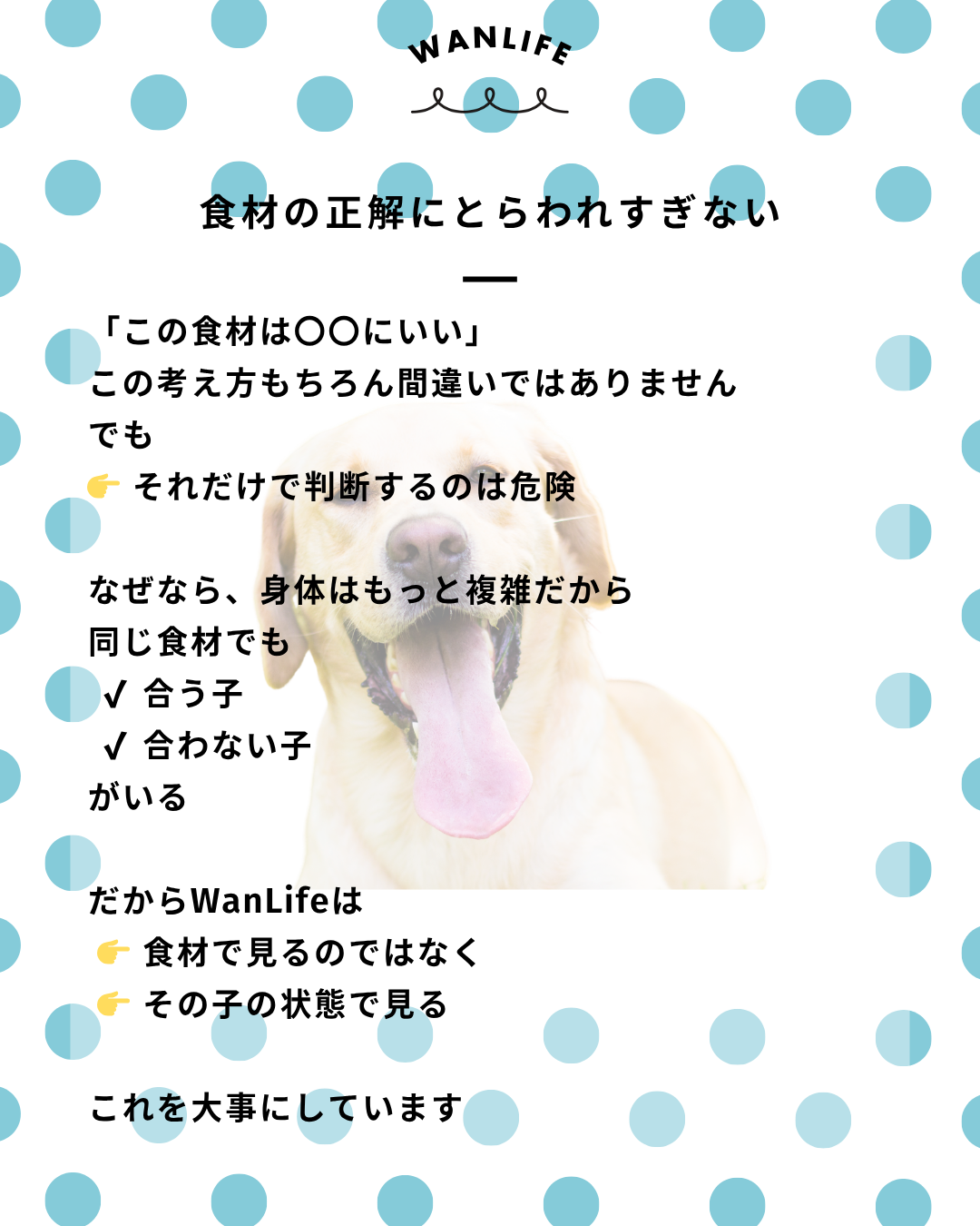 わんわん整体WanLife｜愛知・岐阜の犬の整体・メディセル筋膜リリース・オベロンアニマルスキャン・ネオヒーラー・温灸・食事療法｜