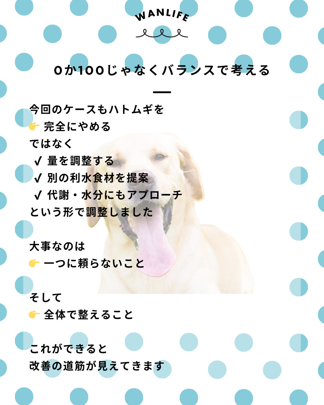 わんわん整体WanLife｜愛知・岐阜の犬の整体・メディセル筋膜リリース・オベロンアニマルスキャン・ネオヒーラー・温灸・食事療法｜