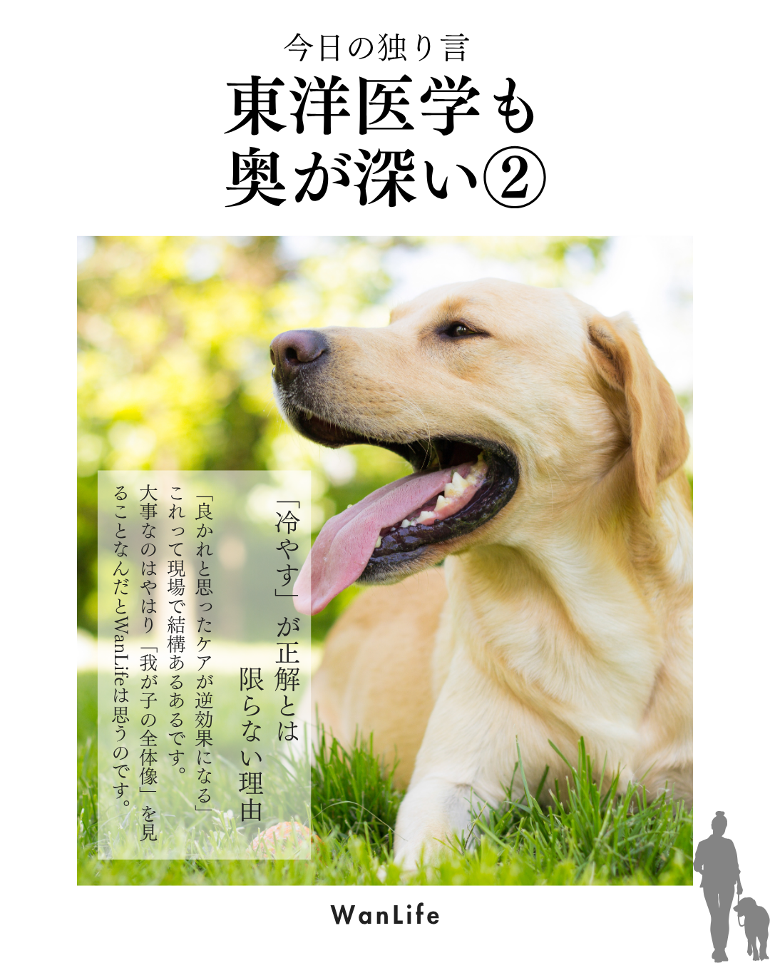 わんわん整体WanLife｜愛知・岐阜の犬の整体・メディセル筋膜リリース・オベロンアニマルスキャン・ネオヒーラー・温灸・食事療法｜