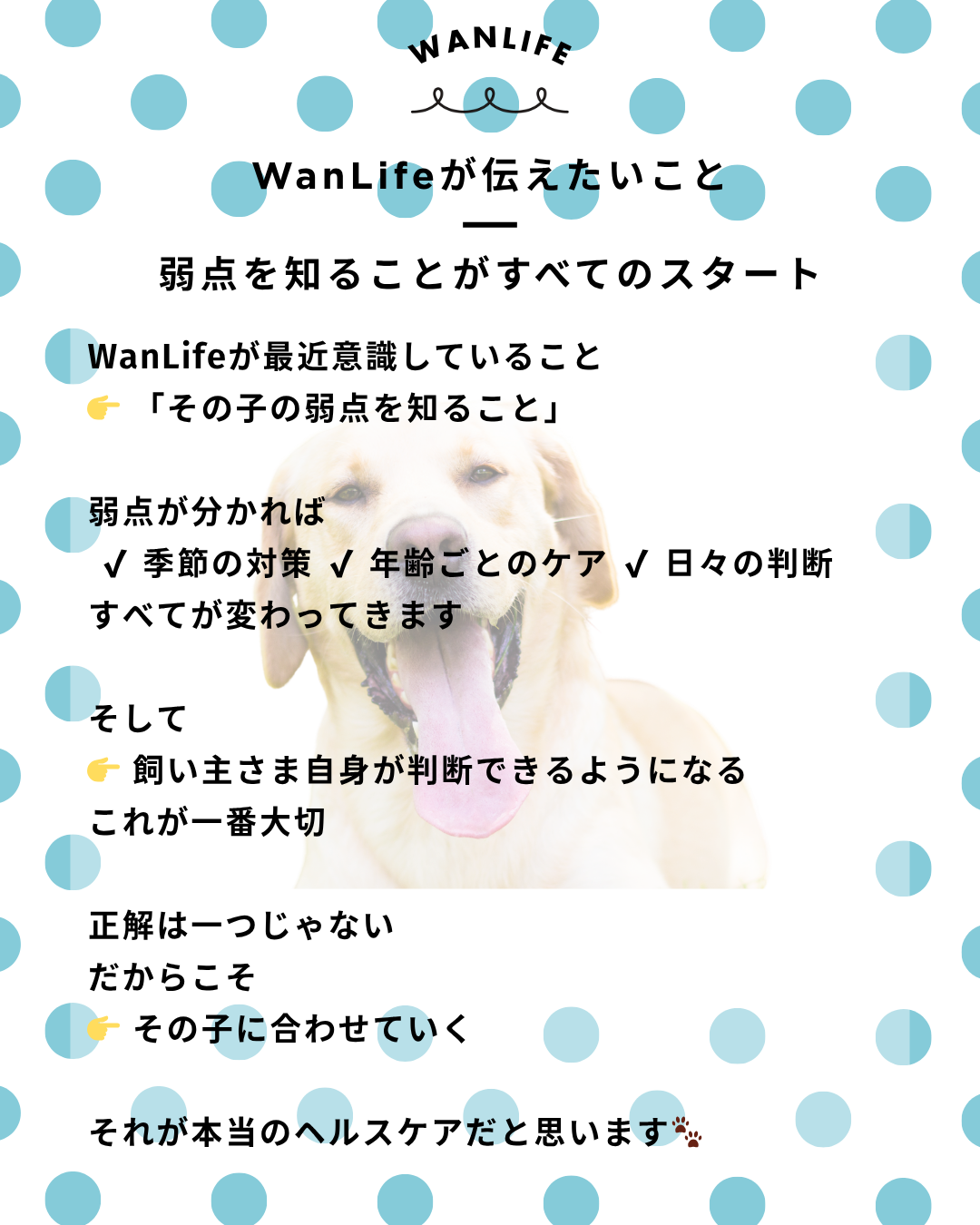 わんわん整体WanLife|愛知・岐阜の犬の整体・メディセル筋膜リリース・オベロンアニマルスキャン・ネオヒーラー・温灸・食事療法|