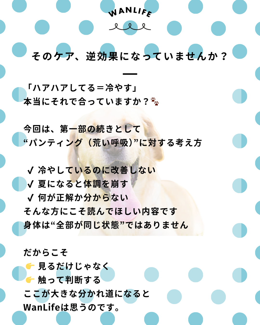 わんわん整体WanLife|愛知・岐阜の犬の整体・メディセル筋膜リリース・オベロンアニマルスキャン・ネオヒーラー・温灸・食事療法|