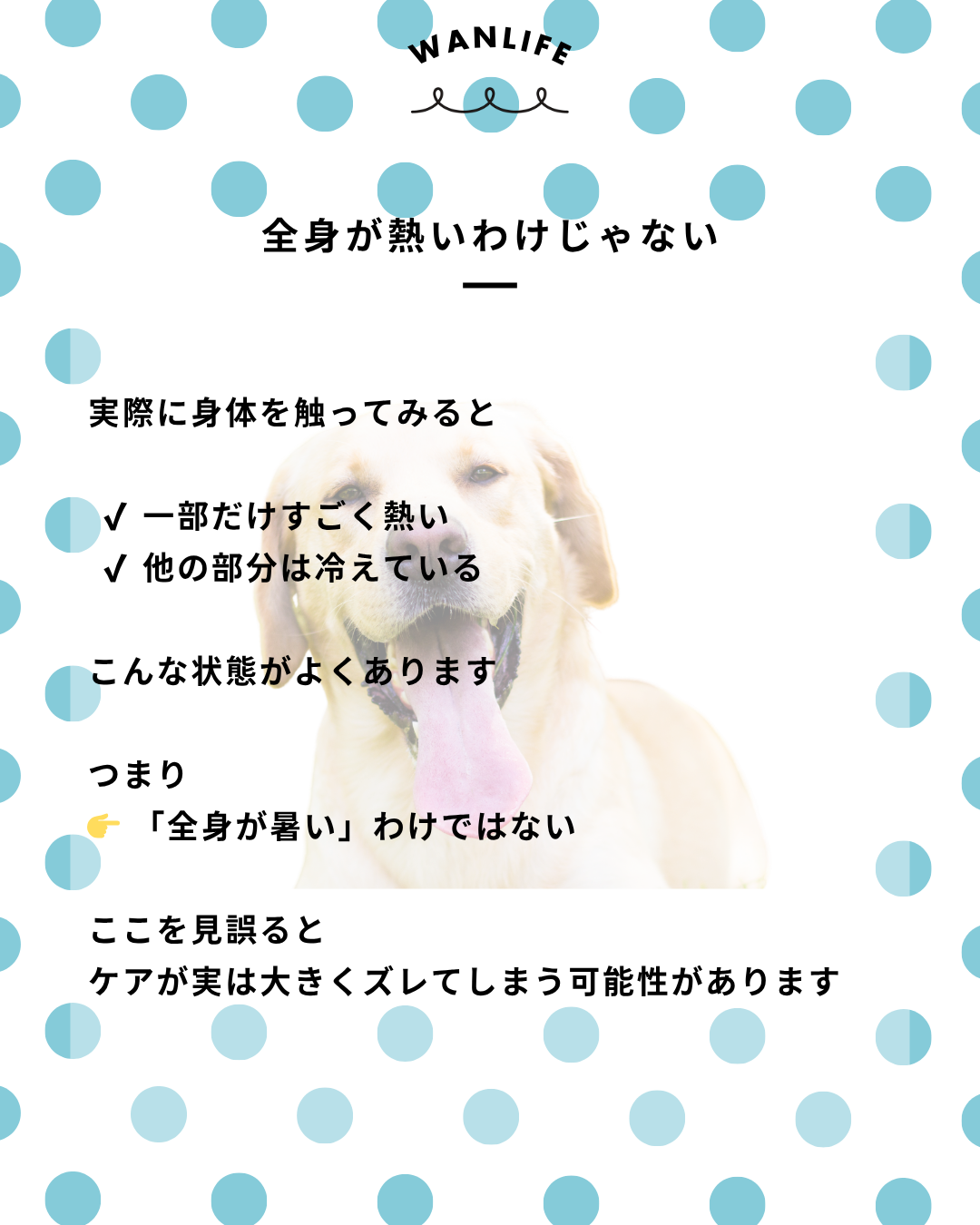 わんわん整体WanLife|愛知・岐阜の犬の整体・メディセル筋膜リリース・オベロンアニマルスキャン・ネオヒーラー・温灸・食事療法|