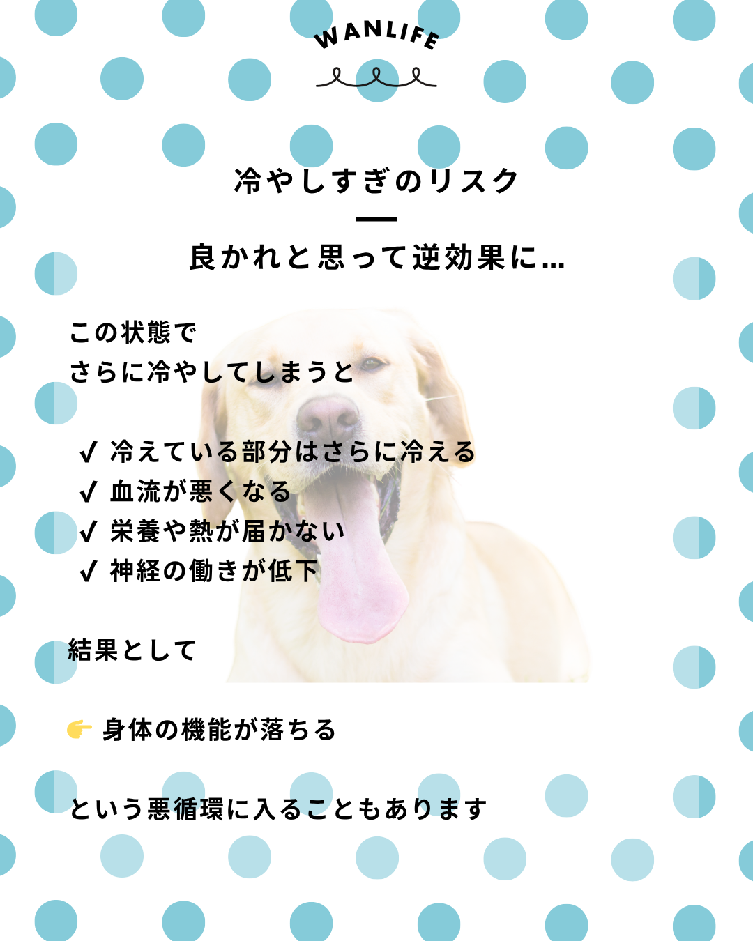 わんわん整体WanLife|愛知・岐阜の犬の整体・メディセル筋膜リリース・オベロンアニマルスキャン・ネオヒーラー・温灸・食事療法|