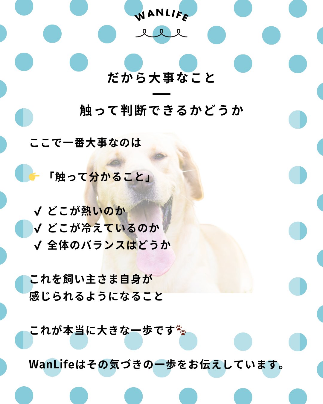 わんわん整体WanLife|愛知・岐阜の犬の整体・メディセル筋膜リリース・オベロンアニマルスキャン・ネオヒーラー・温灸・食事療法|