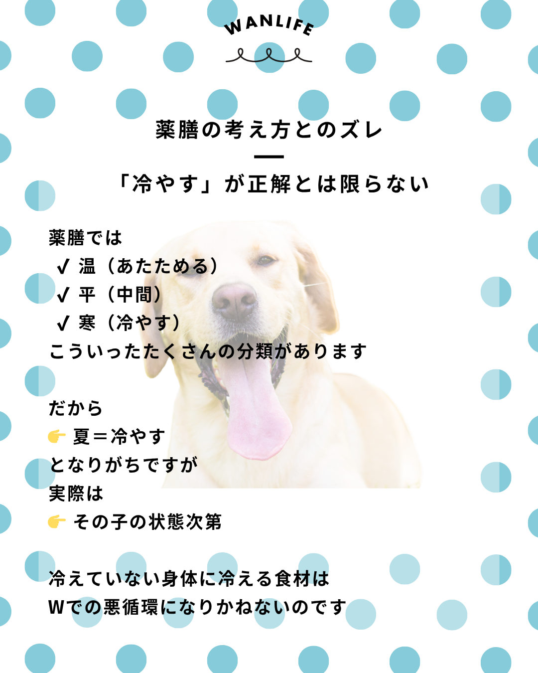 わんわん整体WanLife|愛知・岐阜の犬の整体・メディセル筋膜リリース・オベロンアニマルスキャン・ネオヒーラー・温灸・食事療法|