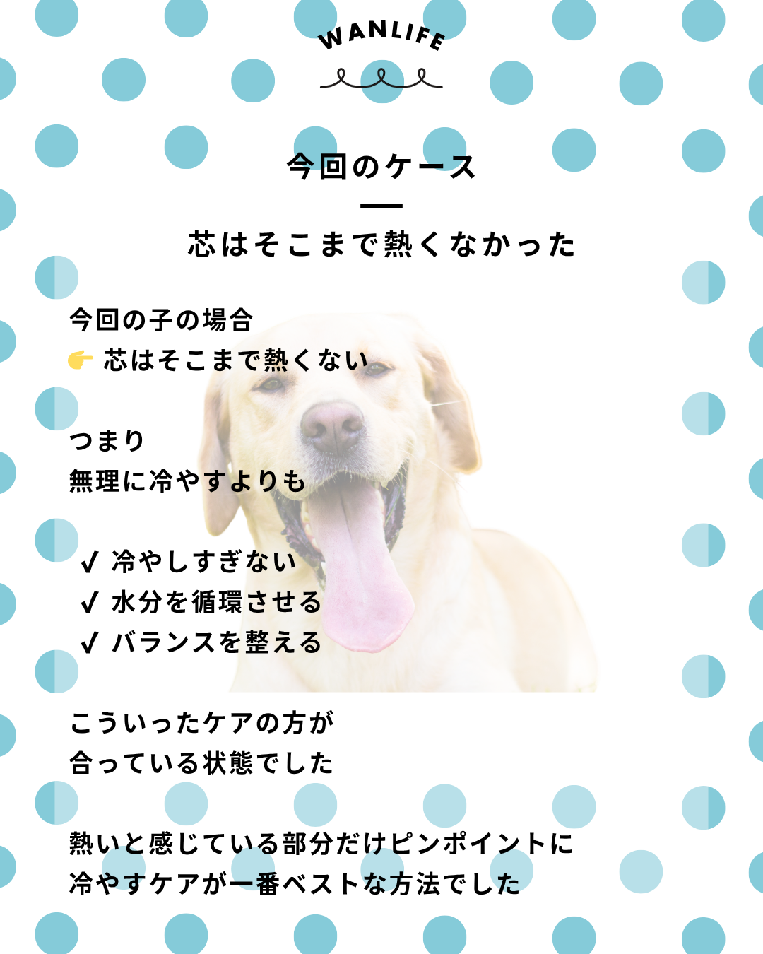 わんわん整体WanLife|愛知・岐阜の犬の整体・メディセル筋膜リリース・オベロンアニマルスキャン・ネオヒーラー・温灸・食事療法|