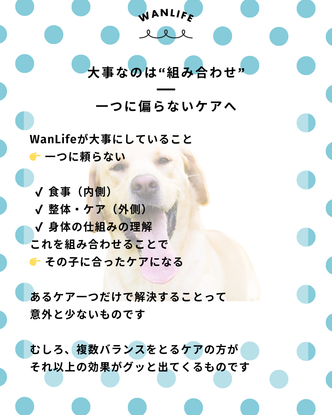 わんわん整体WanLife|愛知・岐阜の犬の整体・メディセル筋膜リリース・オベロンアニマルスキャン・ネオヒーラー・温灸・食事療法|