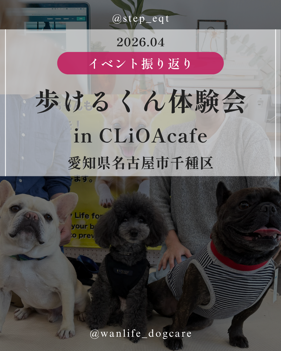 わんわん整体WanLife｜愛知・岐阜の犬の整体・メディセル筋膜リリース・オベロンアニマルスキャン・歩けるくん・ネオヒーラー・温灸・食事療法｜