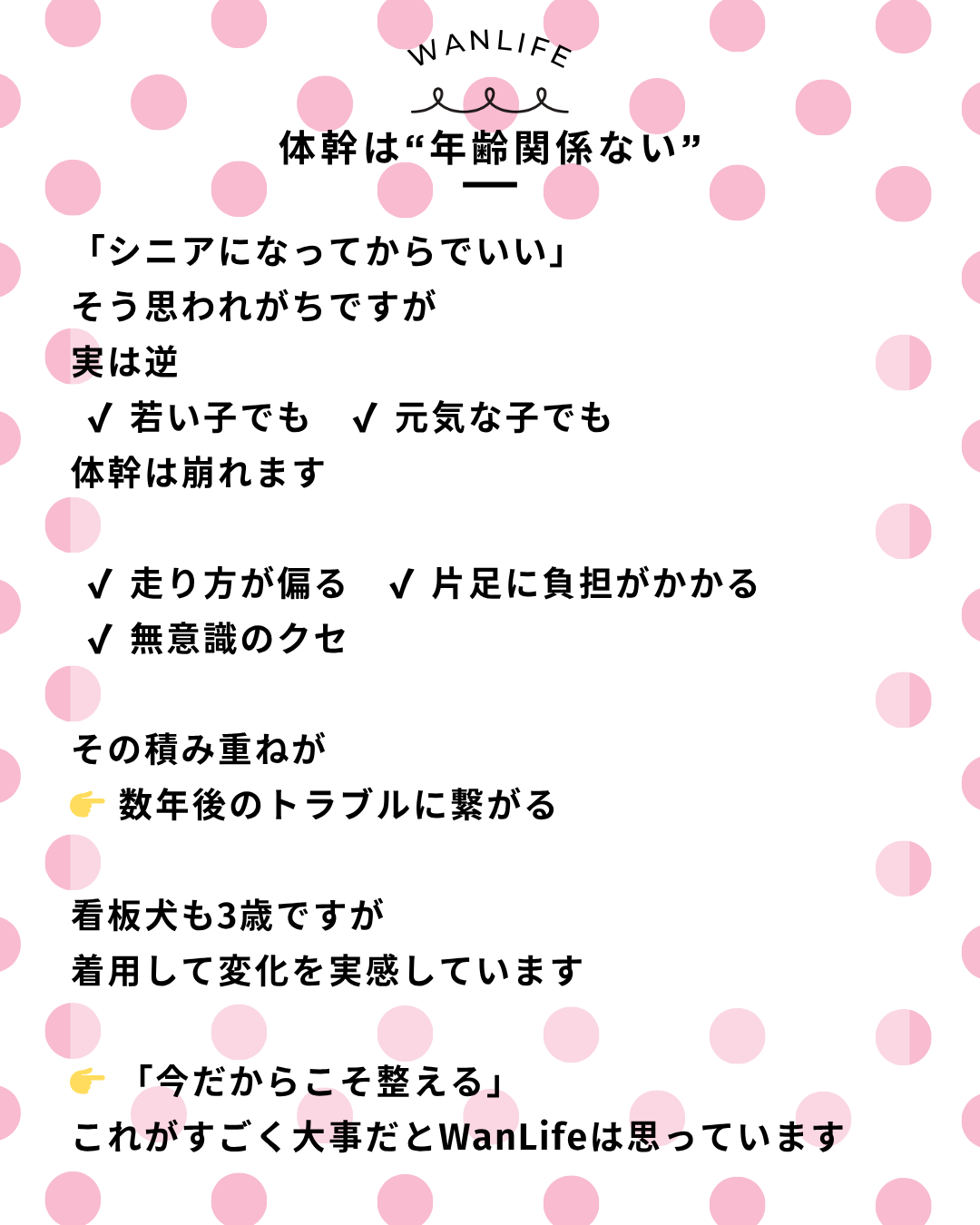 わんわん整体WanLife｜愛知・岐阜の犬の整体・メディセル筋膜リリース・オベロンアニマルスキャン・歩けるくん・ネオヒーラー・温灸・食事療法｜