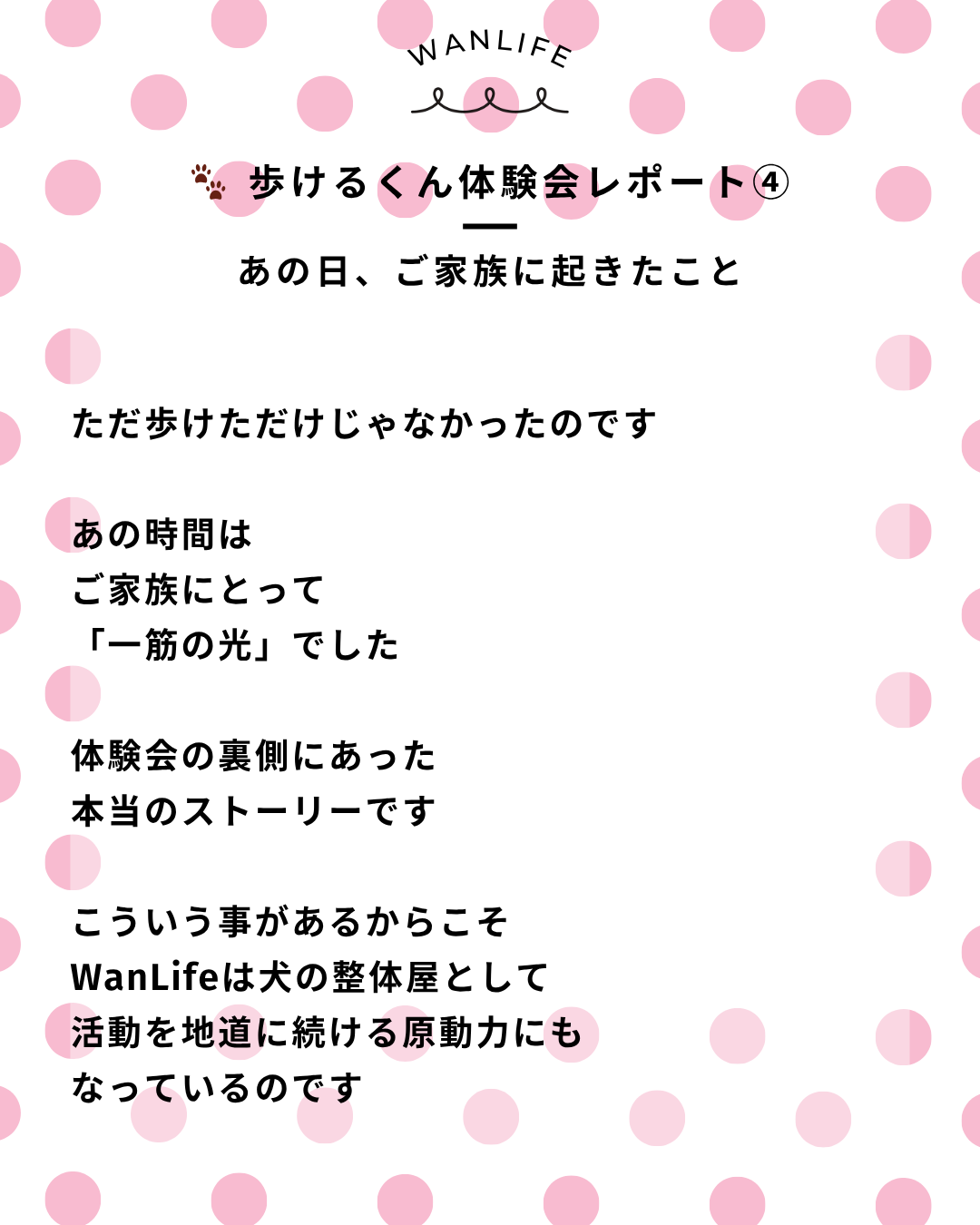 わんわん整体WanLife｜愛知・岐阜の犬の整体・メディセル筋膜リリース・オベロンアニマルスキャン・歩けるくん・ネオヒーラー・温灸・食事療法｜