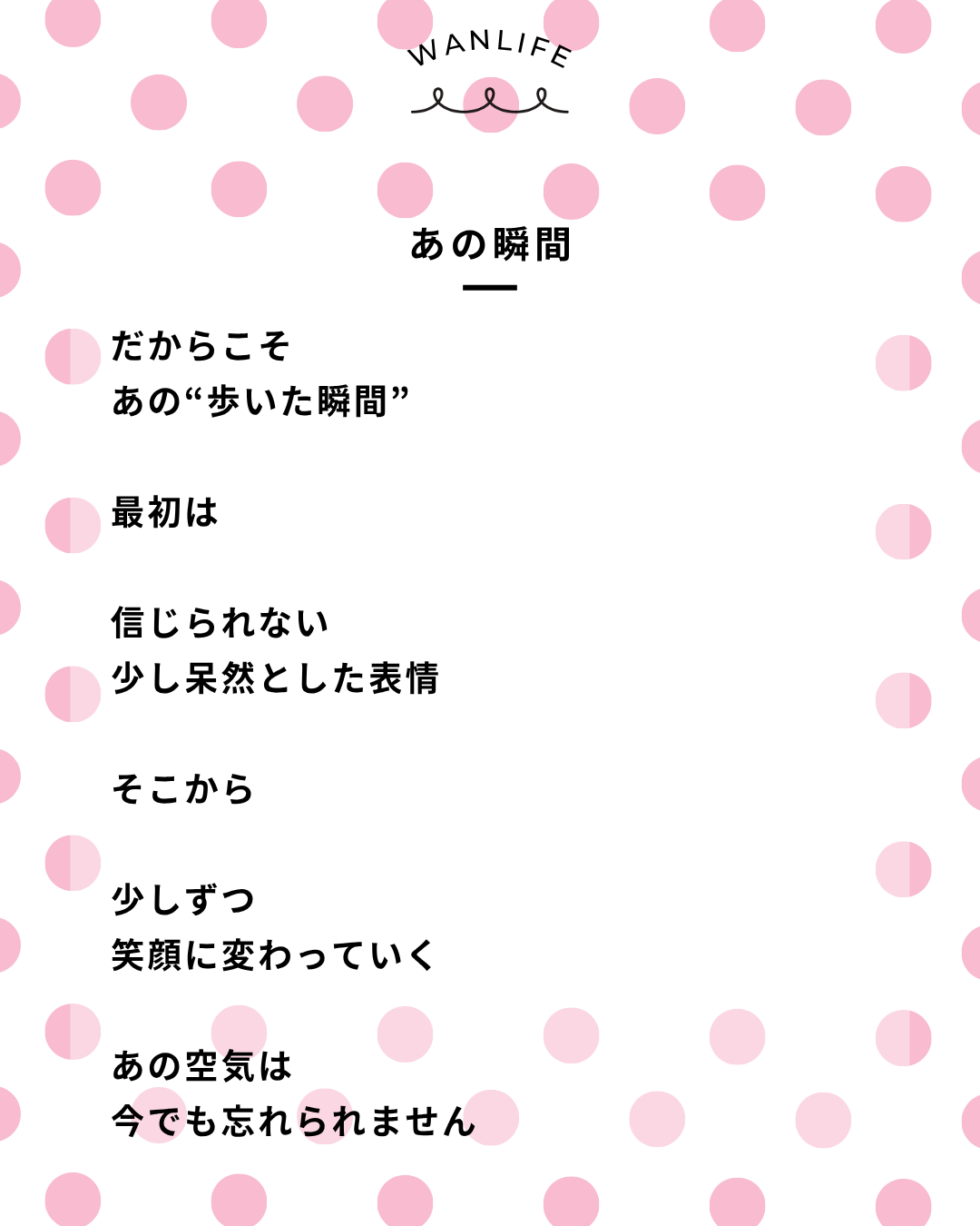わんわん整体WanLife｜愛知・岐阜の犬の整体・メディセル筋膜リリース・オベロンアニマルスキャン・歩けるくん・ネオヒーラー・温灸・食事療法｜