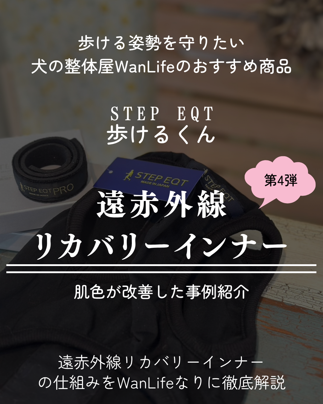 わんわん整体WanLife｜愛知・岐阜の犬の整体・メディセル筋膜リリース・オベロンアニマルスキャン・歩けるくん・ネオヒーラー・温灸・食事療法｜