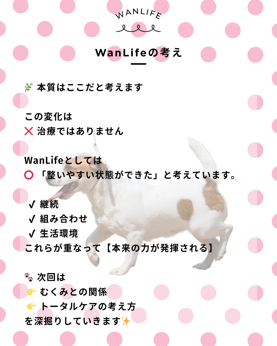 わんわん整体WanLife｜愛知・岐阜の犬の整体・メディセル筋膜リリース・オベロンアニマルスキャン・歩けるくん・ネオヒーラー・温灸・食事療法｜
