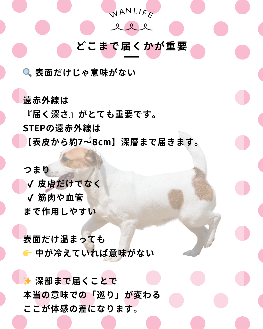 わんわん整体WanLife｜愛知・岐阜の犬の整体・メディセル筋膜リリース・オベロンアニマルスキャン・歩けるくん・ネオヒーラー・温灸・食事療法｜