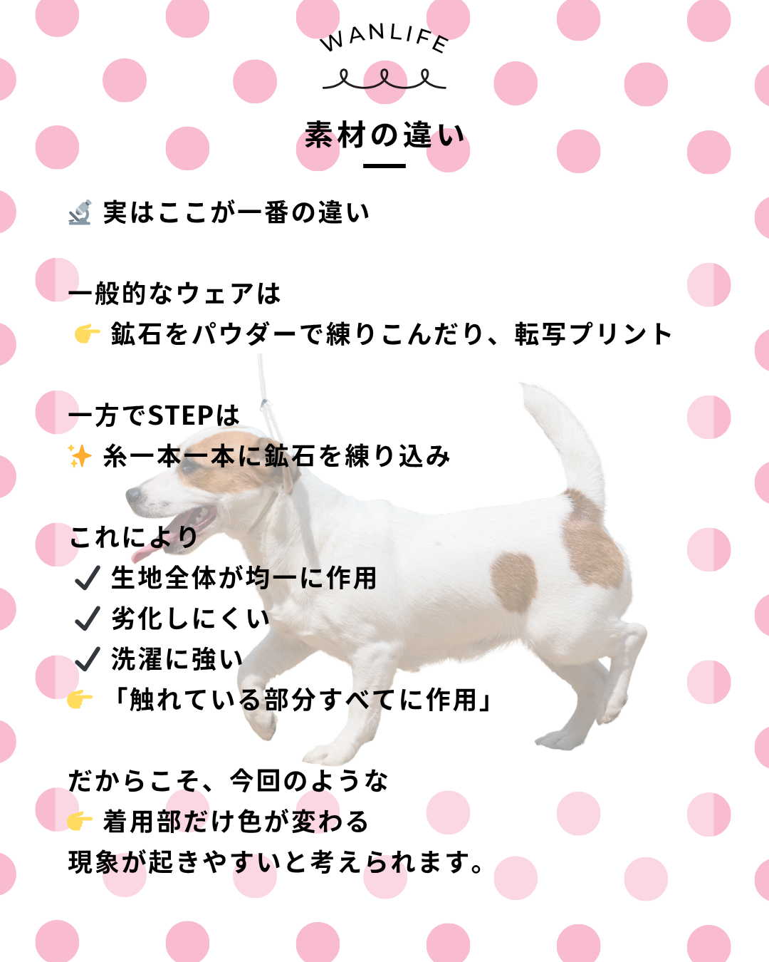 わんわん整体WanLife｜愛知・岐阜の犬の整体・メディセル筋膜リリース・オベロンアニマルスキャン・歩けるくん・ネオヒーラー・温灸・食事療法｜