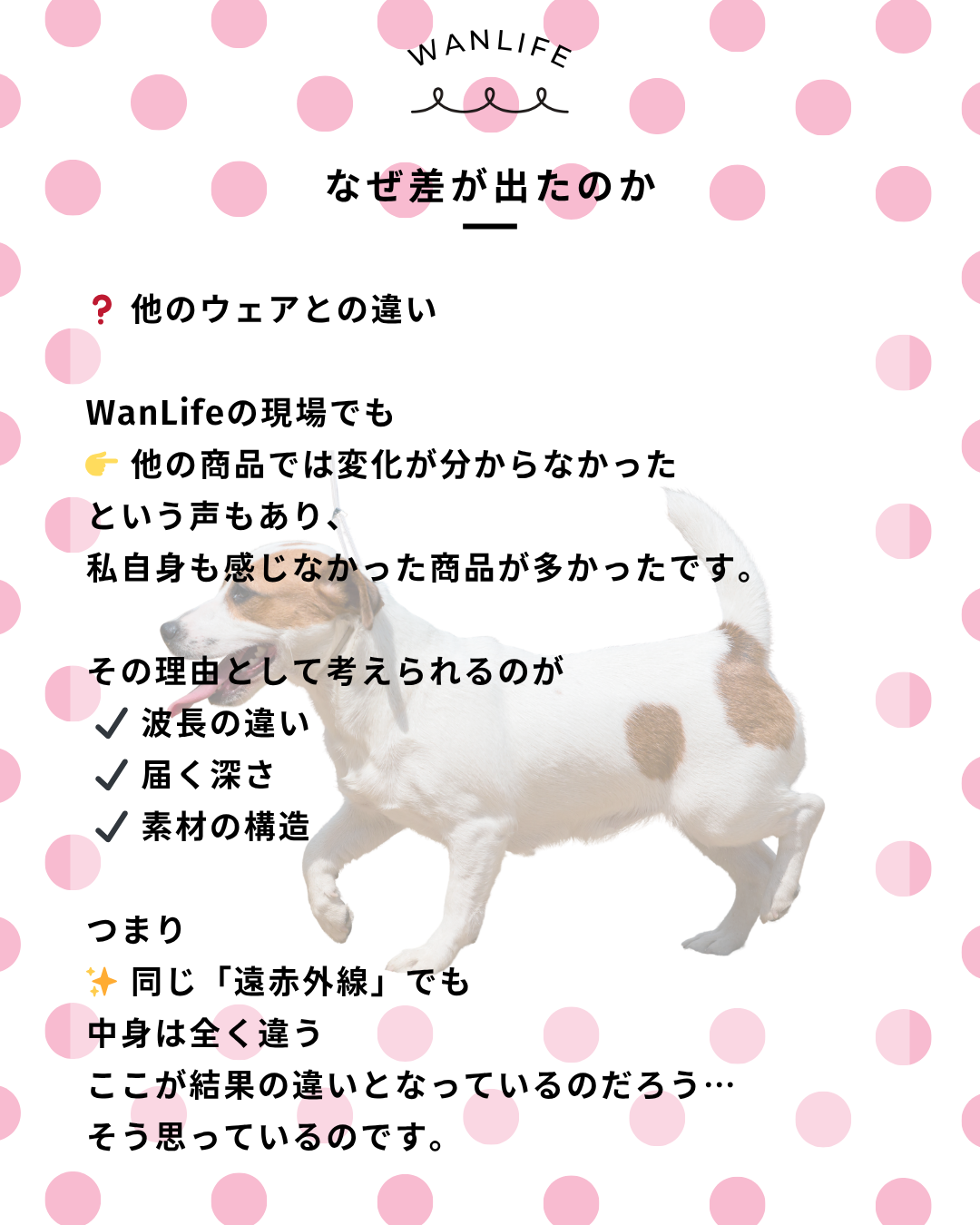 わんわん整体WanLife｜愛知・岐阜の犬の整体・メディセル筋膜リリース・オベロンアニマルスキャン・歩けるくん・ネオヒーラー・温灸・食事療法｜