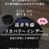 わんわん整体WanLife｜愛知・岐阜の犬の整体・メディセル筋膜リリース・オベロンアニマルスキャン・歩けるくん・ネオヒーラー・温灸・食事療法｜