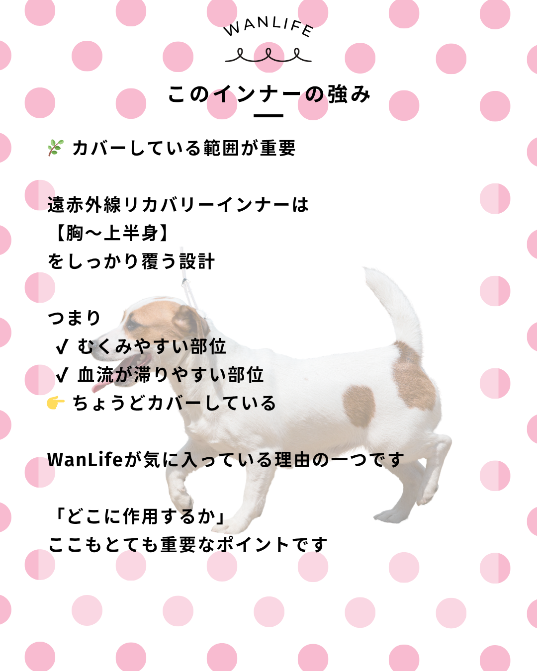 わんわん整体WanLife｜愛知・岐阜の犬の整体・メディセル筋膜リリース・オベロンアニマルスキャン・歩けるくん・ネオヒーラー・温灸・食事療法｜