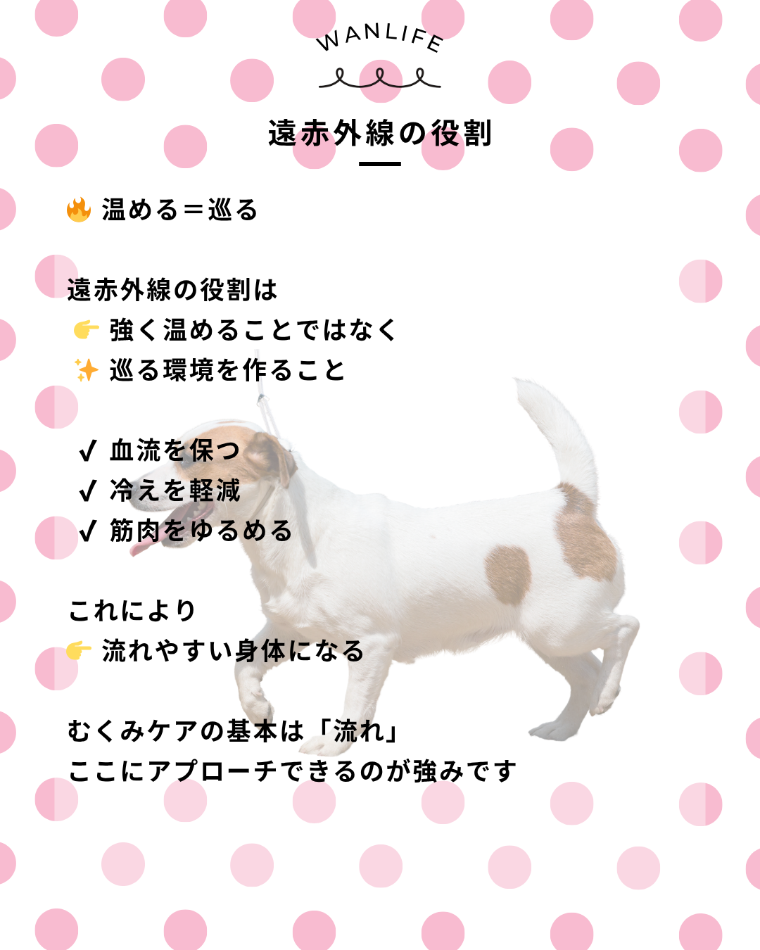 わんわん整体WanLife｜愛知・岐阜の犬の整体・メディセル筋膜リリース・オベロンアニマルスキャン・歩けるくん・ネオヒーラー・温灸・食事療法｜